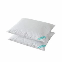 Waverly Feather 2-pack Pillow Set